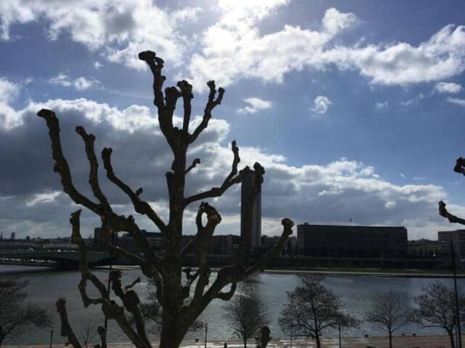 Apartmán La Cathedrale - Vue Sur Seine Rouen Exteriér fotografie